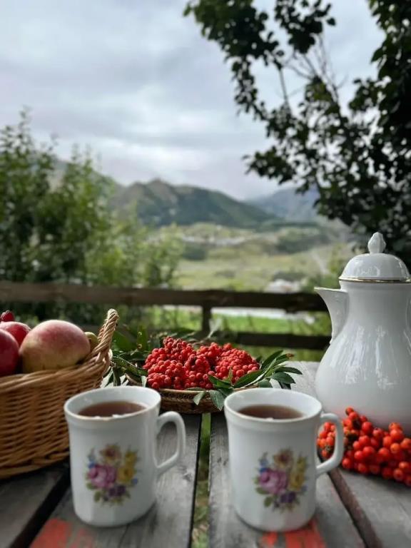 Hotel Axien Kazbegi 3*