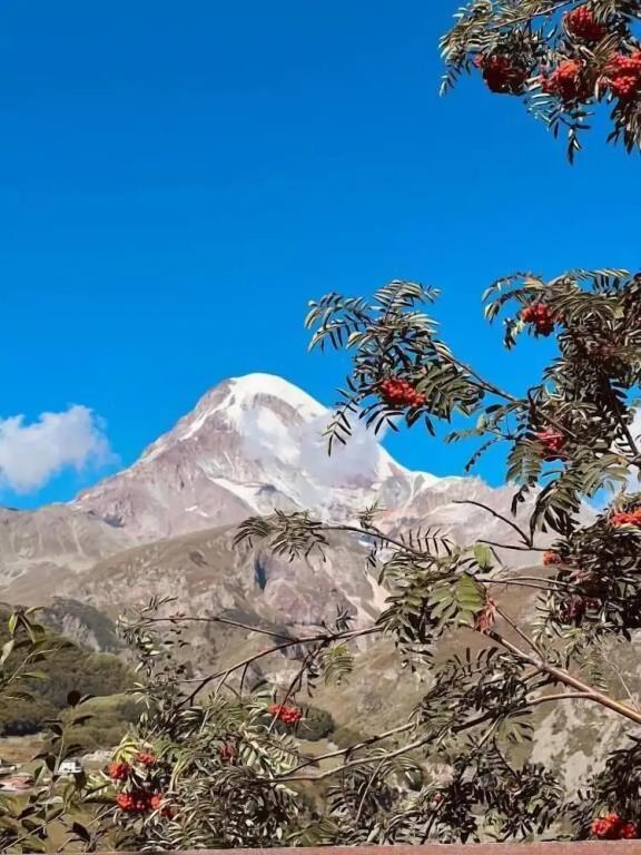 Hotel Axien Kazbegi 3*