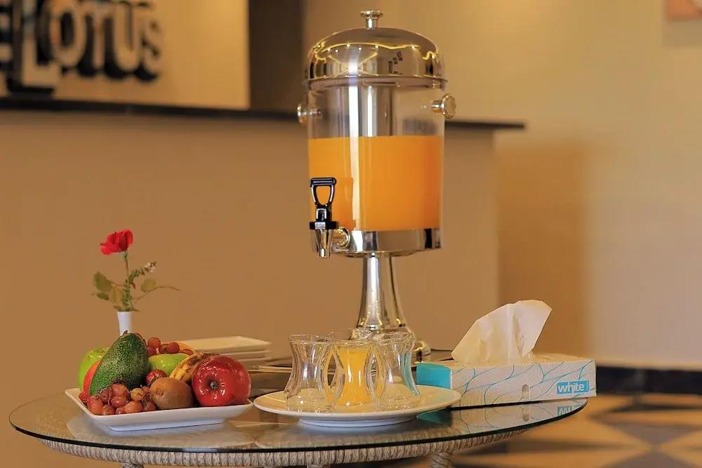 Blue Lotus Nile Suites Hotel Aswan 3*