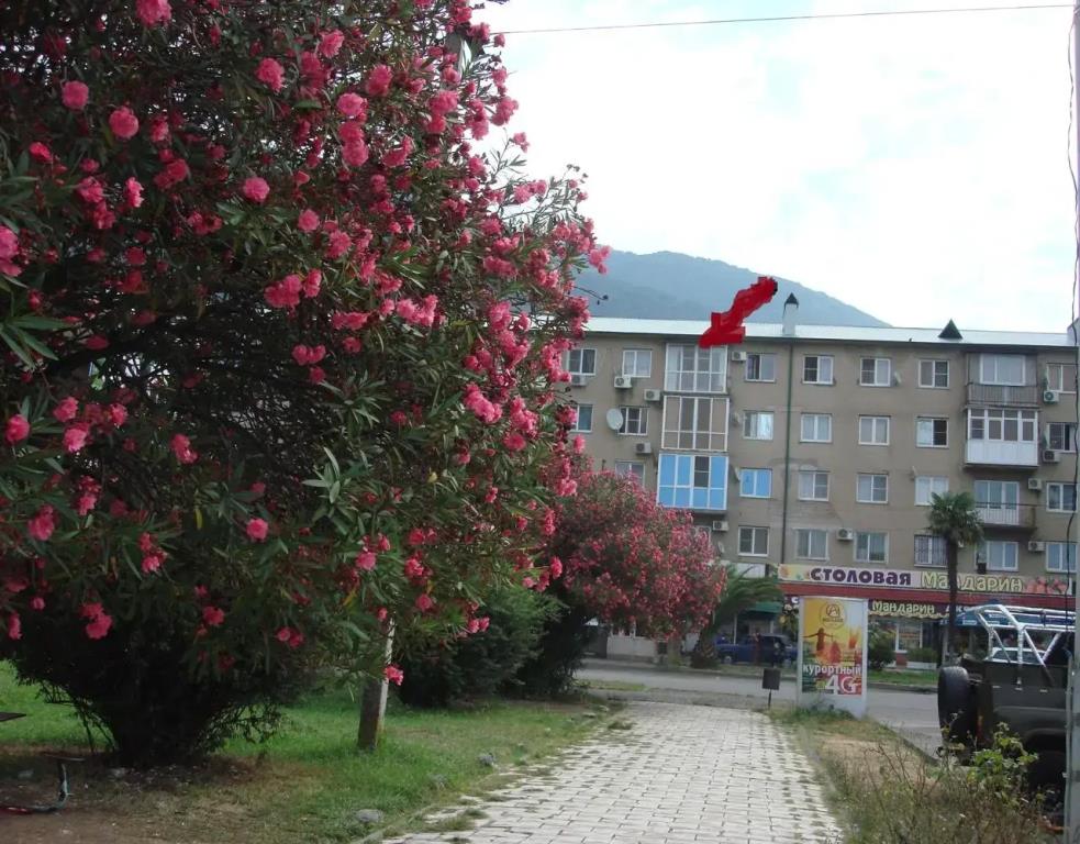 Apartments on Abazgaa street 49/1 0*