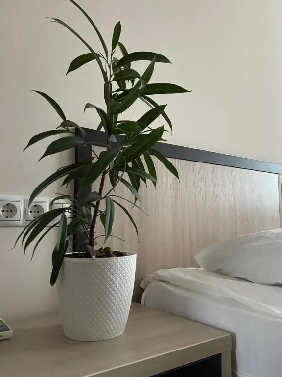 Mys Morya hotel 3*
