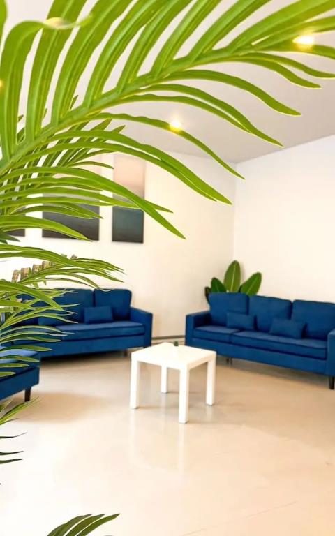 BAOBAB 2*