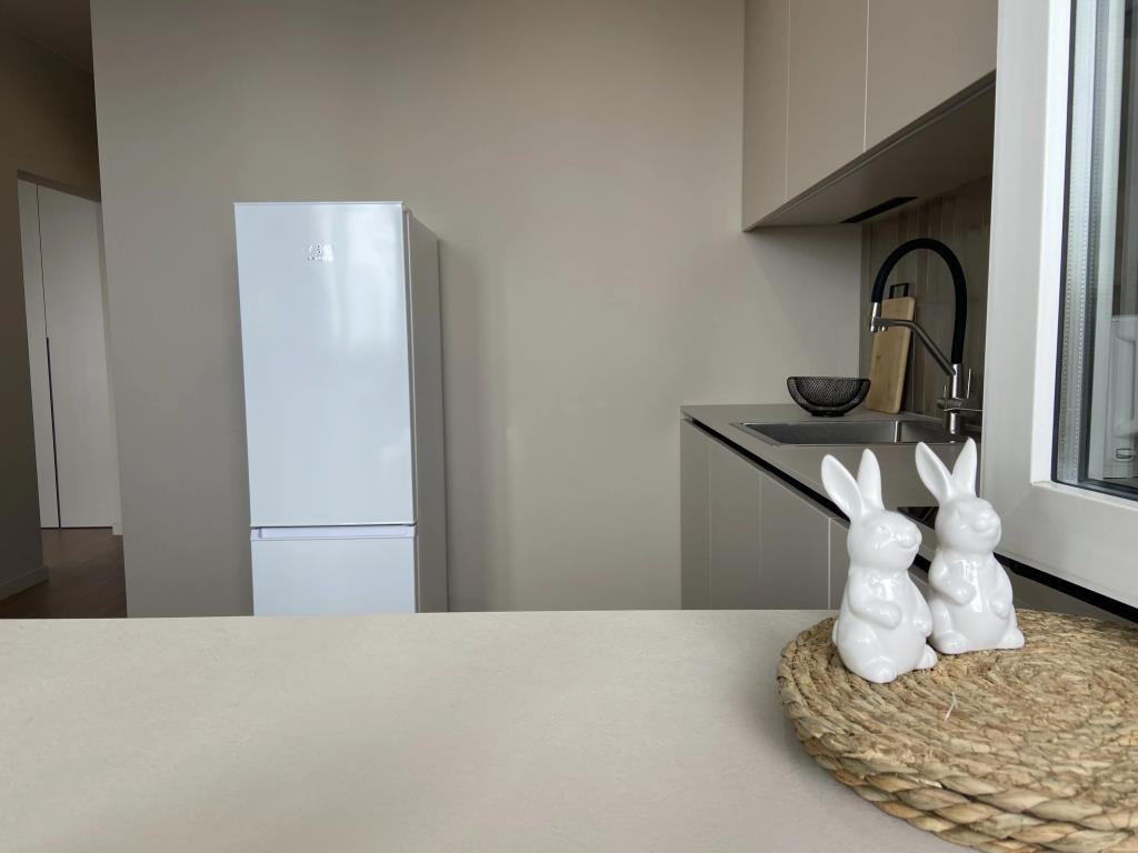 Baltic Resort Na Nevskogo Apartments 0*