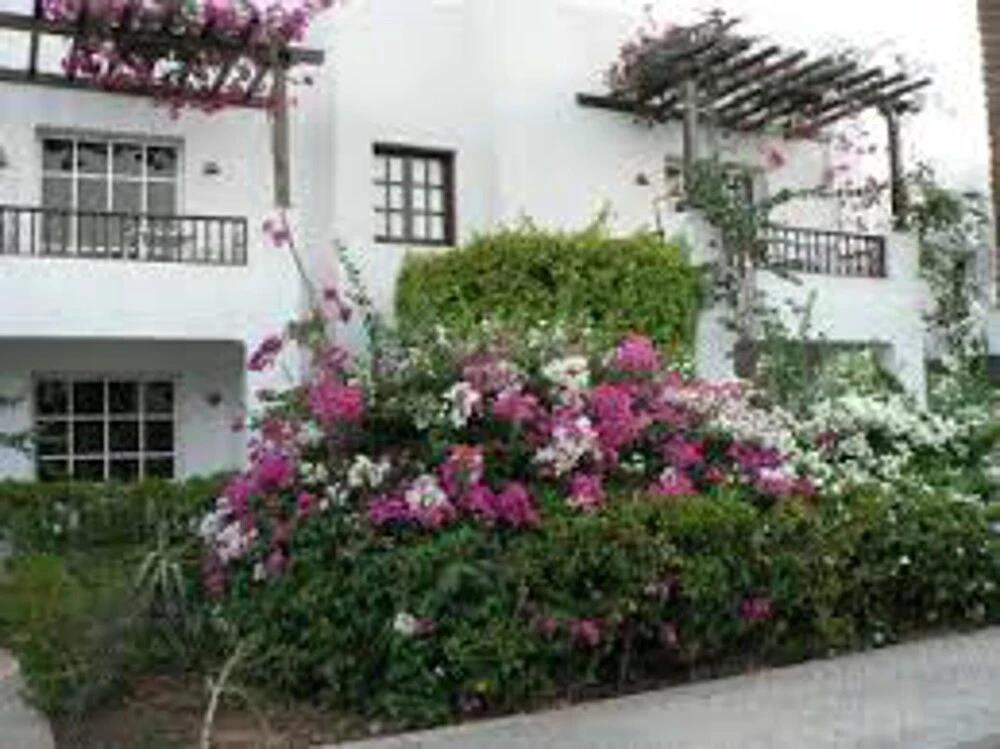 Stunning Spacious One Bed in Delta Sharm 0*