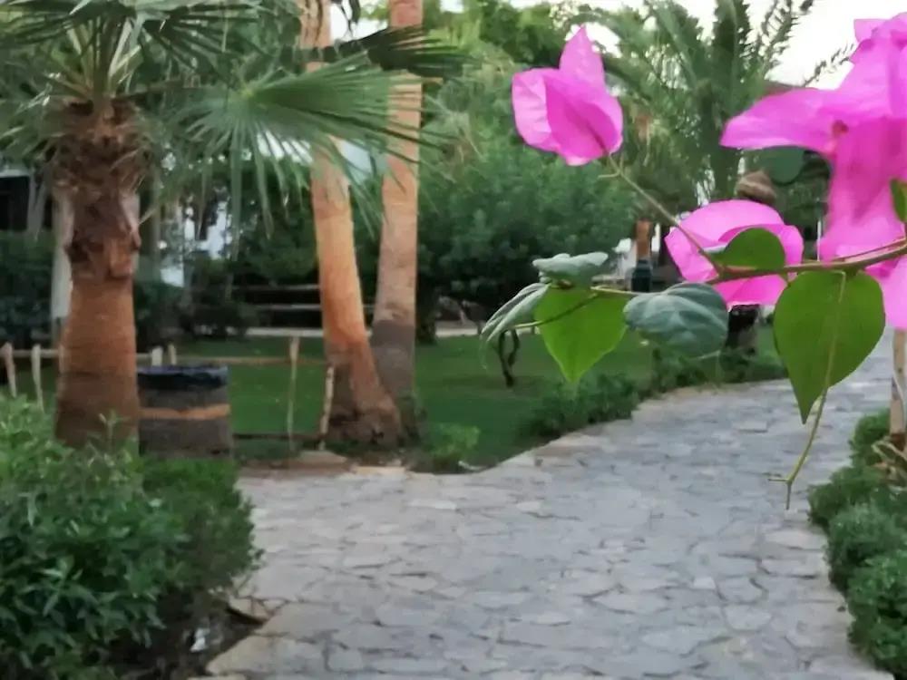 Stunning Spacious One Bed in Delta Sharm 0*