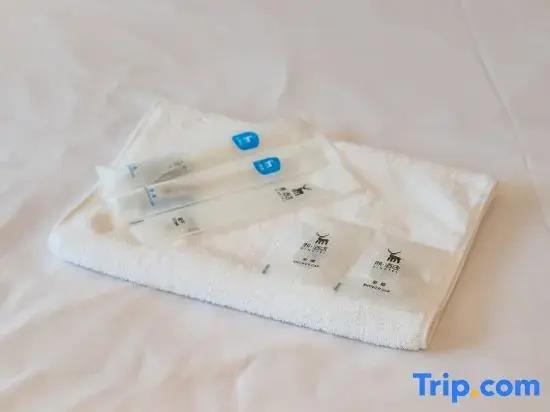 Xi·Hotel (Chengdu Chunxi Road Taikoo Li) 2*