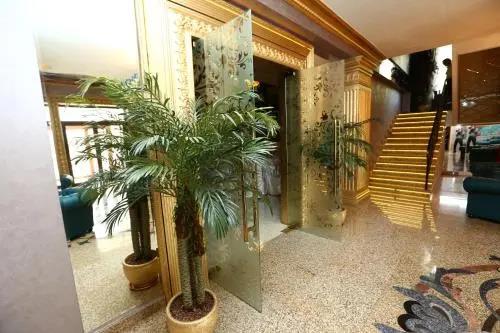 Hotel Vivaldi 0*