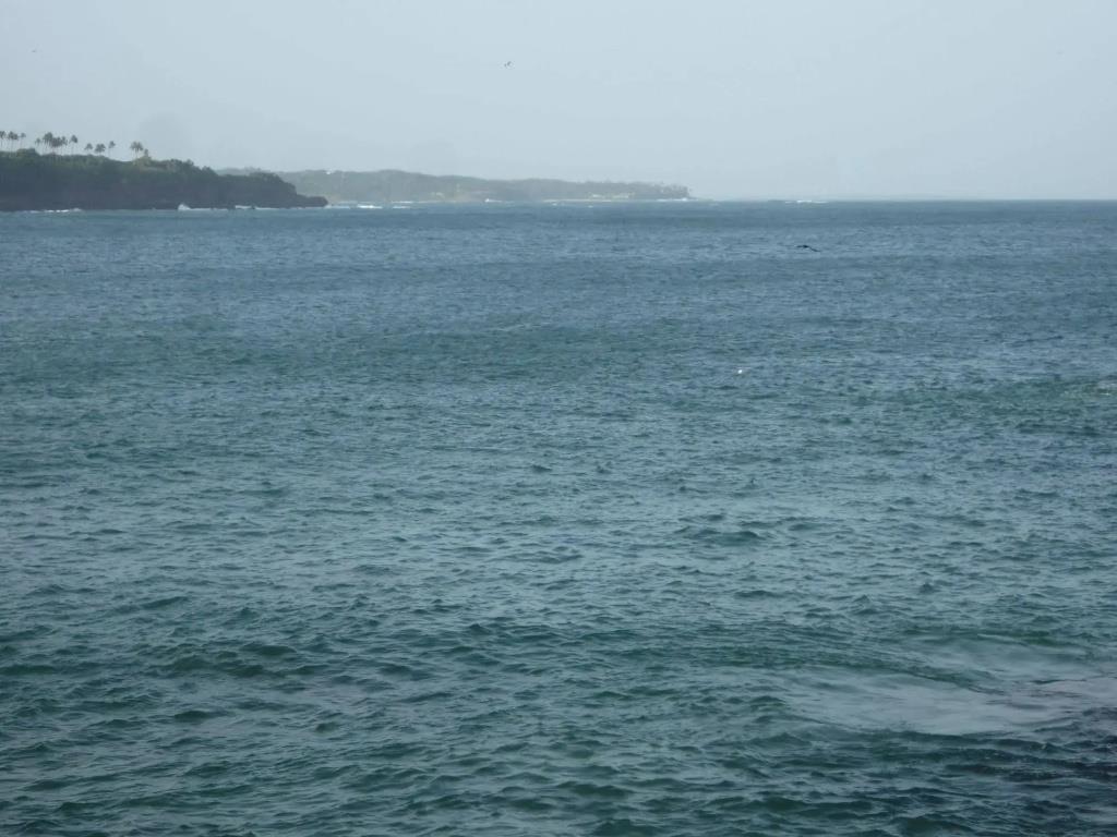 Blow Hole View Home Stay 2*