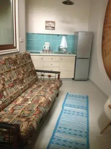 Apartment Pushkin Travel 0*