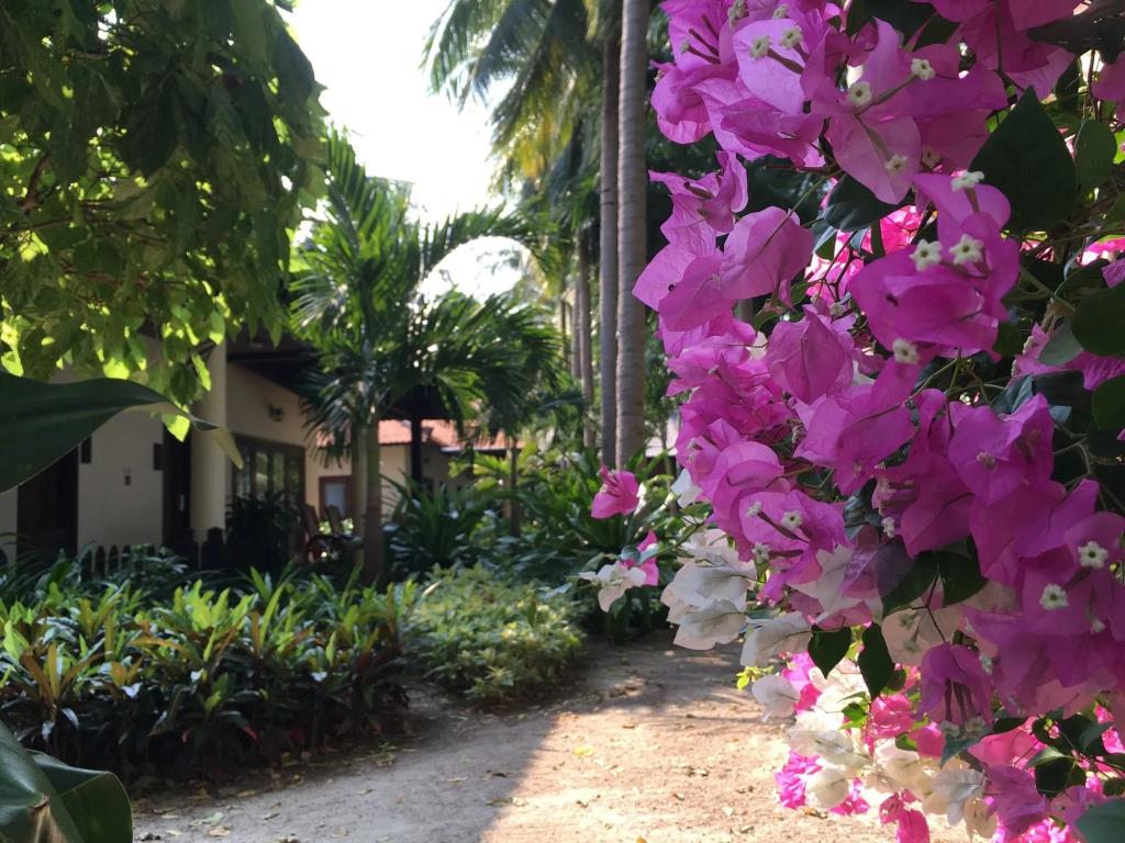 Diamond Bay Resort and Spa 4*