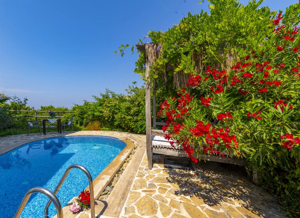 Mandarin & Mango Boutique Hotel 5*