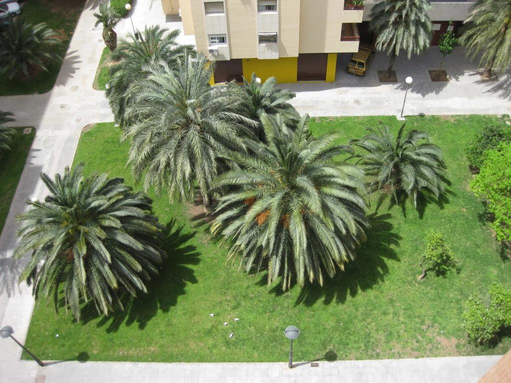 Apartamentos Plaza Picasso 0*