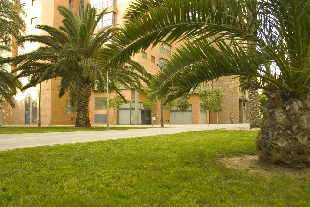 Apartamentos Plaza Picasso 0*