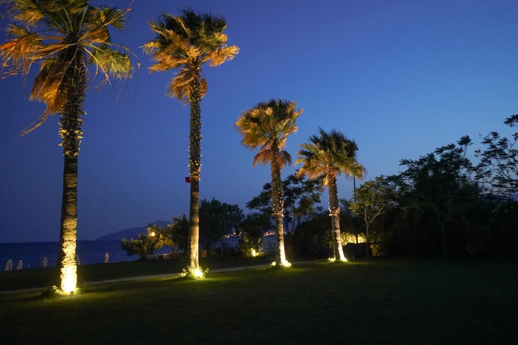 Dirik Surf & Beach Club Hotel 1*