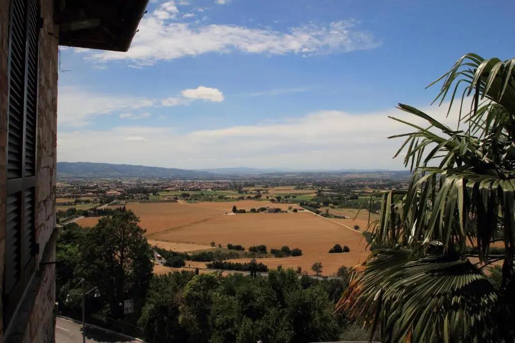 Windsor Savoia 3*