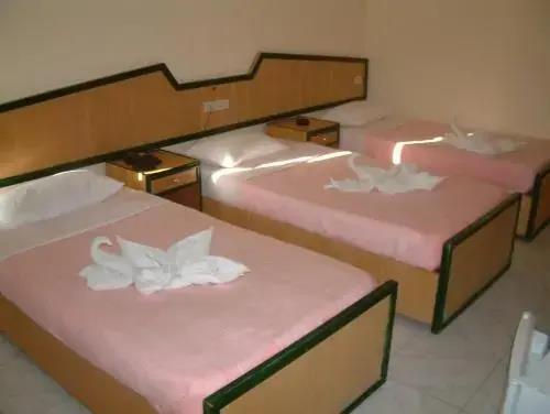 Diana Hotel 3*