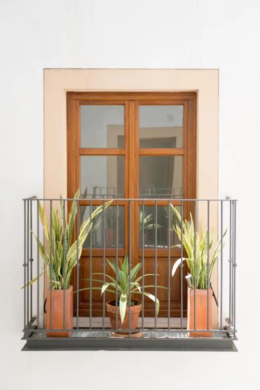 Palma Suites Aparthotel 0*