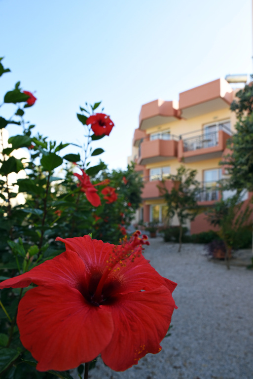 Iolkos Hotel 1*