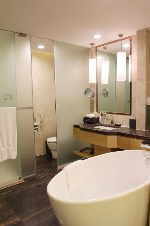 Pullman Linyi Lushang 4*