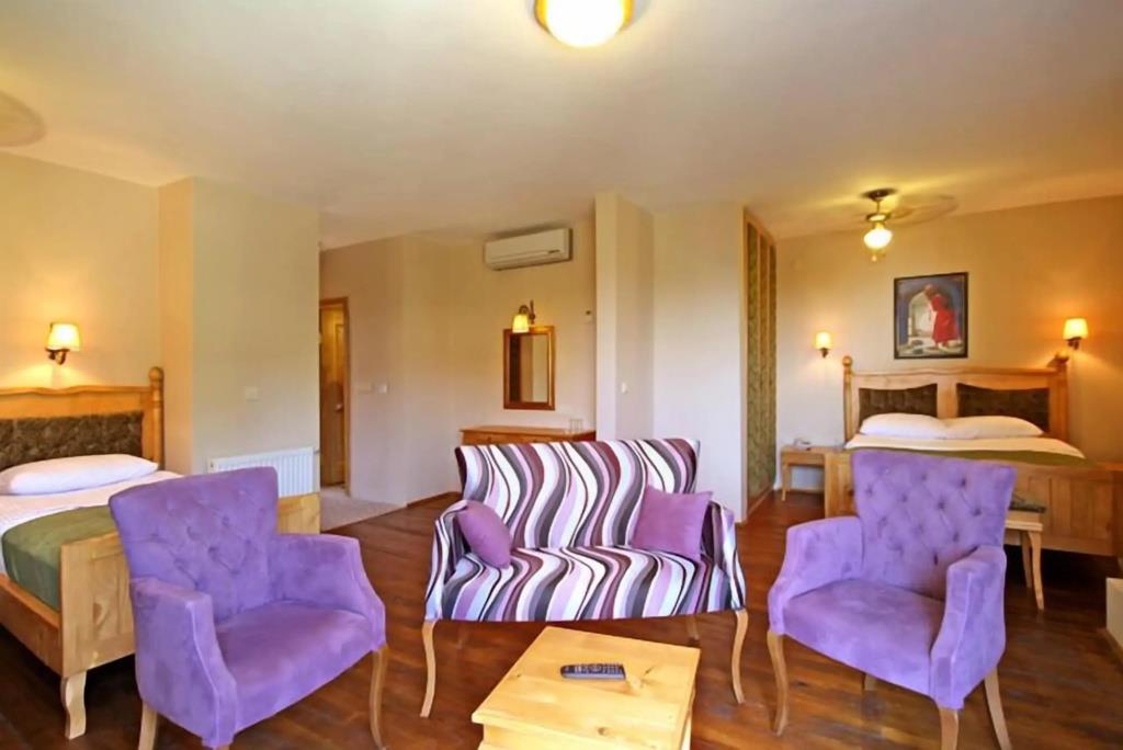 Palace Hotel Olive Odore 0*