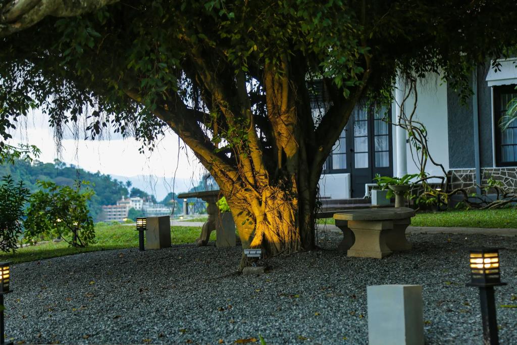 Castle Hill Bungalow 3*