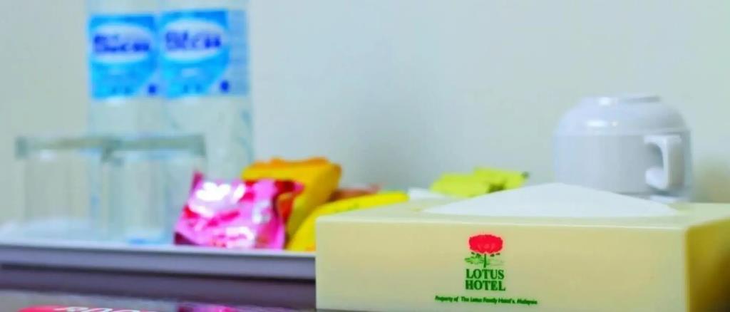 Hotel GreenWay 3*