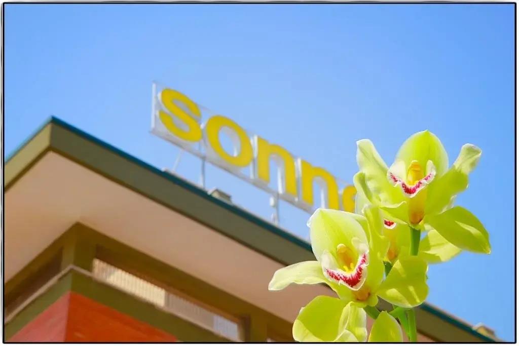 Hotel Sonne 2*
