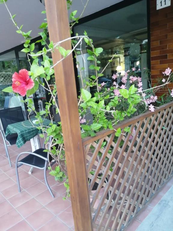 Hotel Sonne 2*