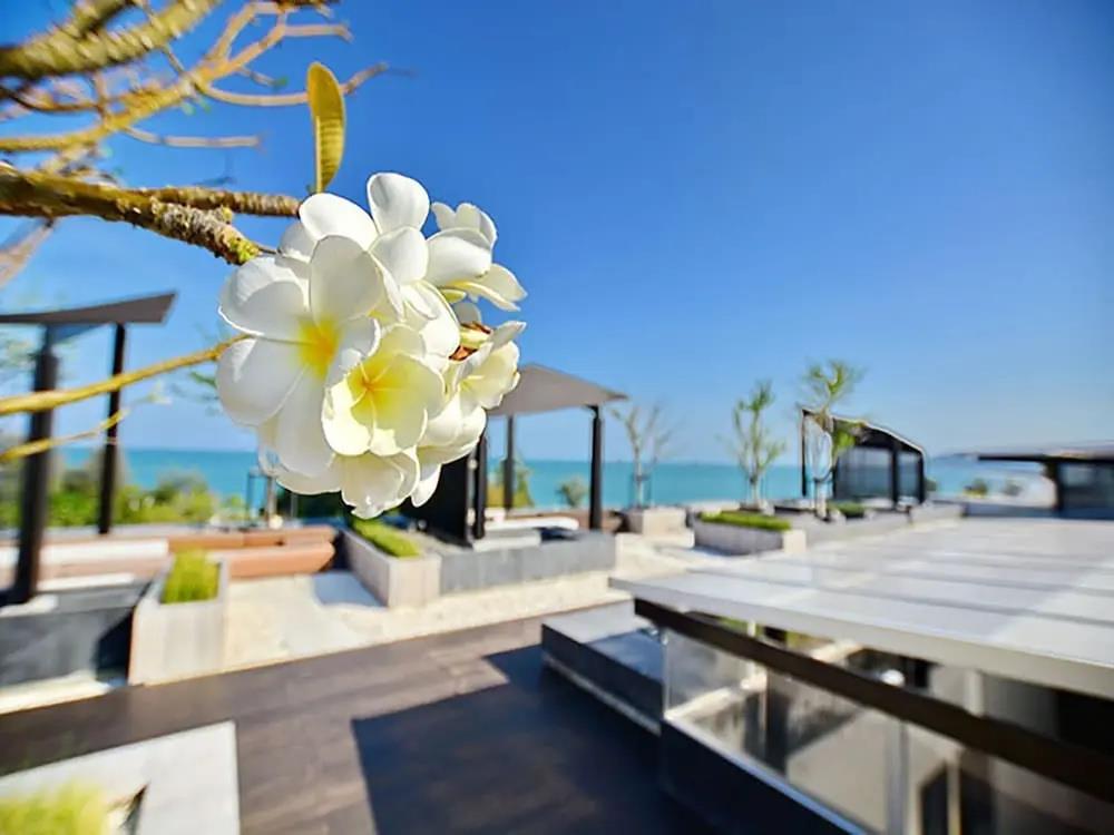 Sanctuary Hua Hin 3*