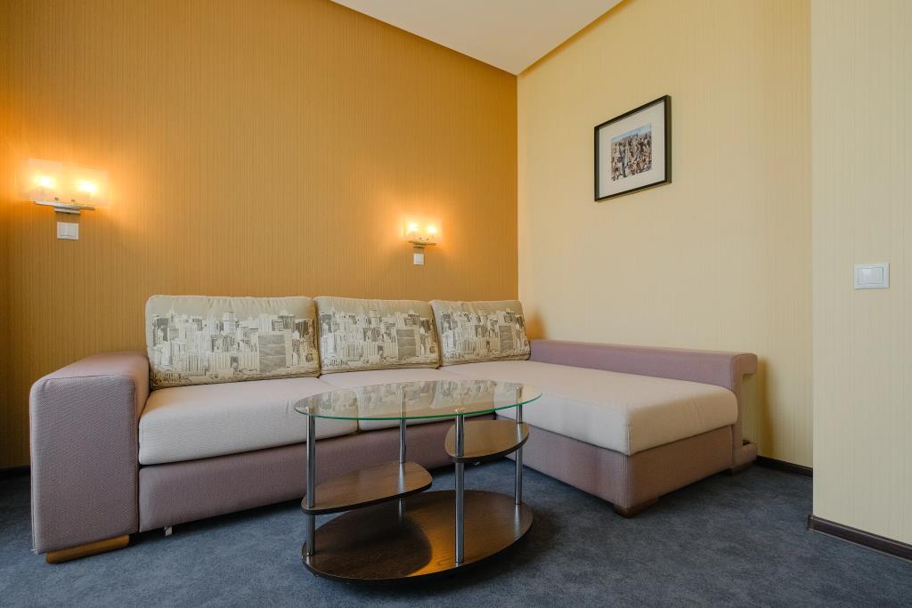 Skyline Hotel Tomsk Airport hotel 0*