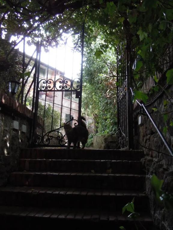 Villino Corbelli 0*