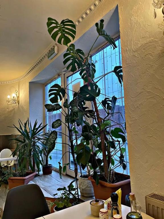 Barin Hotel 4*