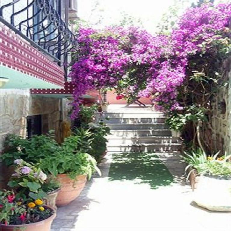 Sezgin Boutique Hotel 0*
