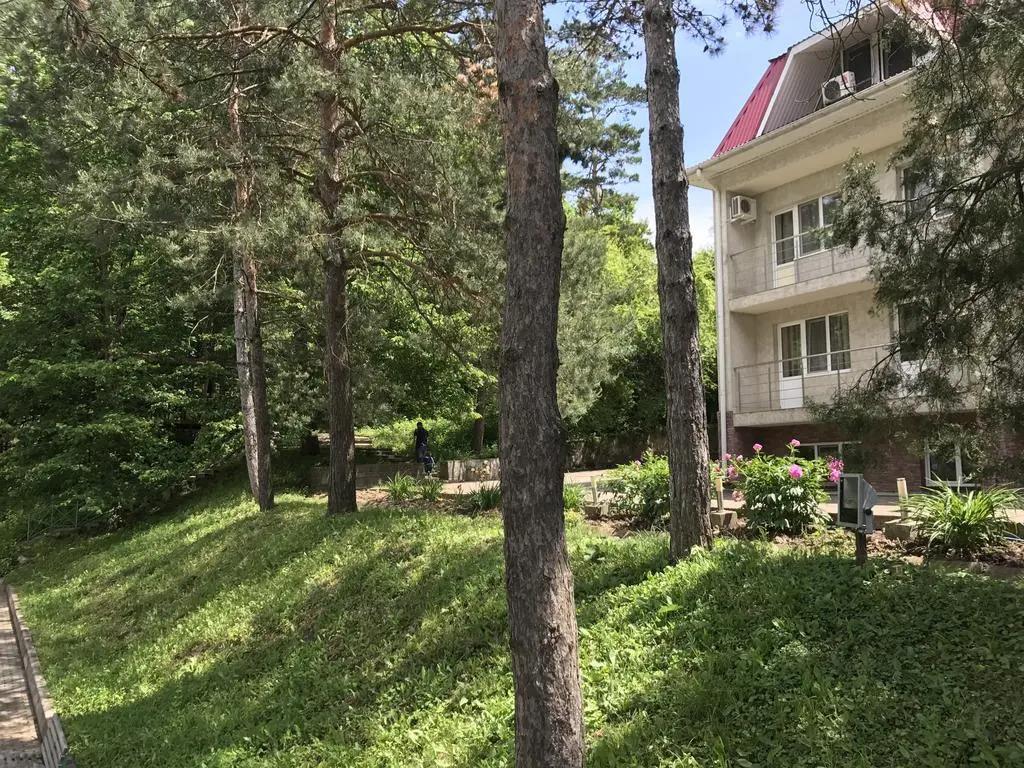 Berezka Hotel 2*