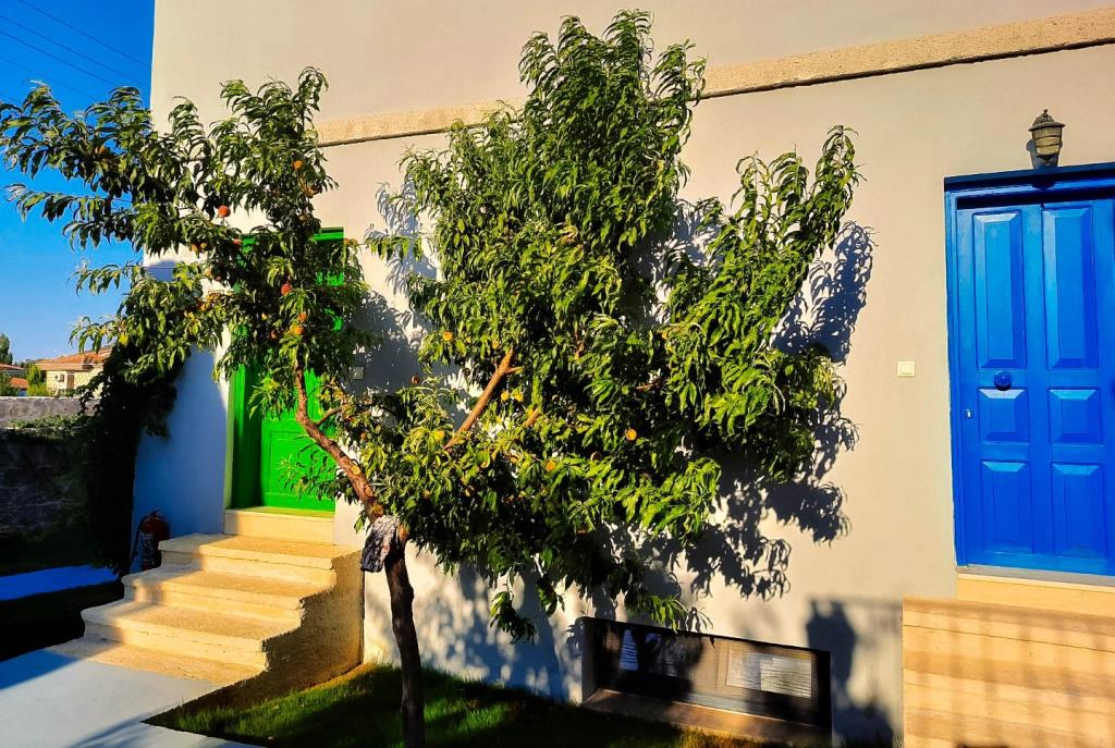 Karyada Hotel 0*