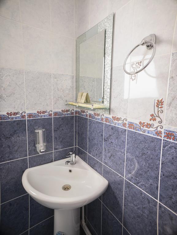 Gostiny Dvor Viktoriya Mini-Hotel 1*