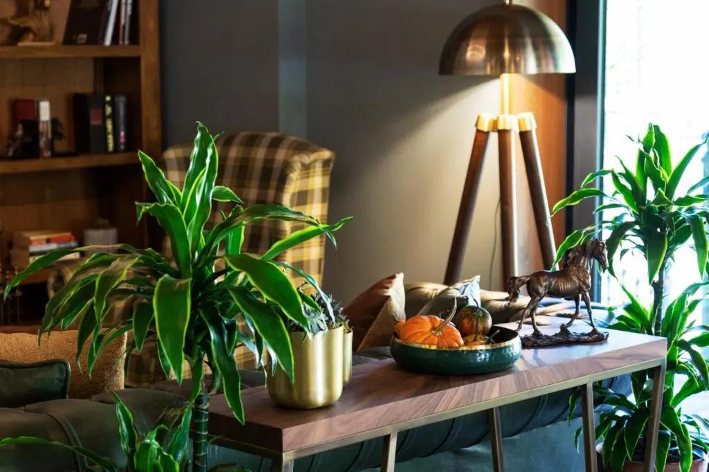 Casa Mila Kazdaglari 0*