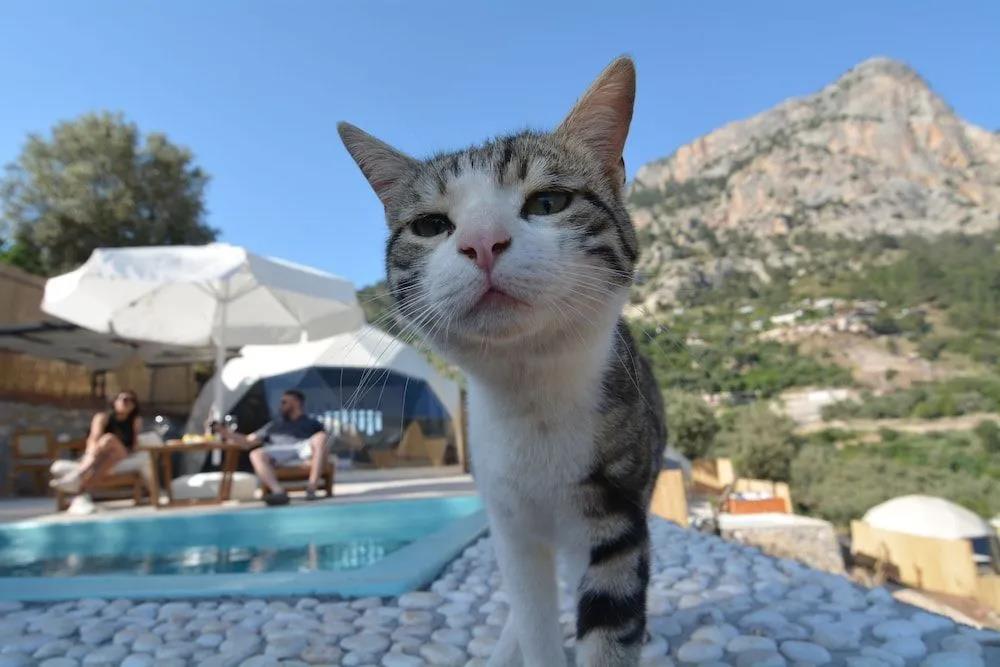 Kabak Freedom Deluxe Hotel 0*