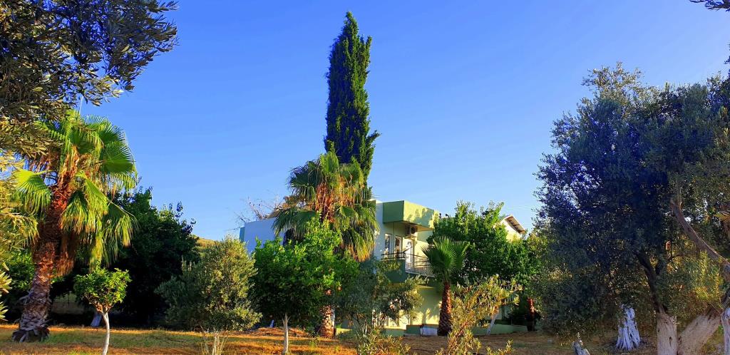Patara Caretta Hotel 0*