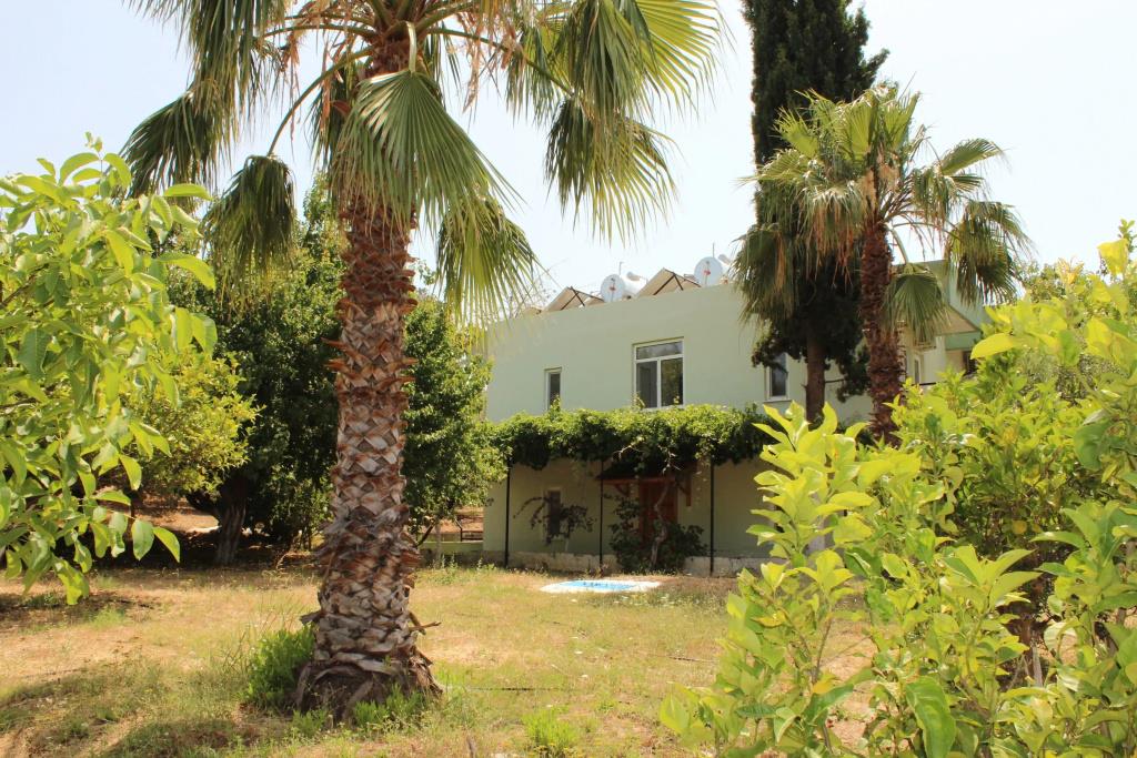 Patara Caretta Hotel 0*