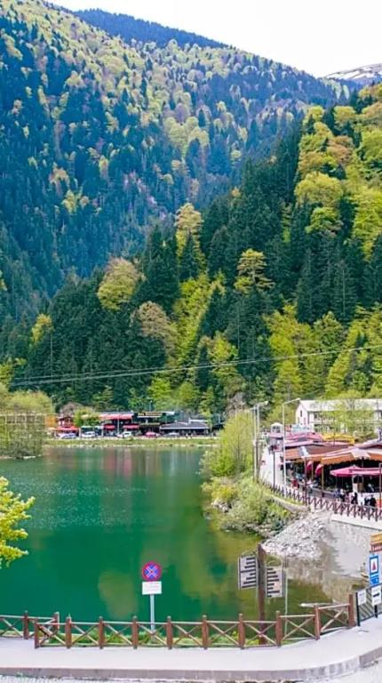 Uzungol Dear Otel 0*