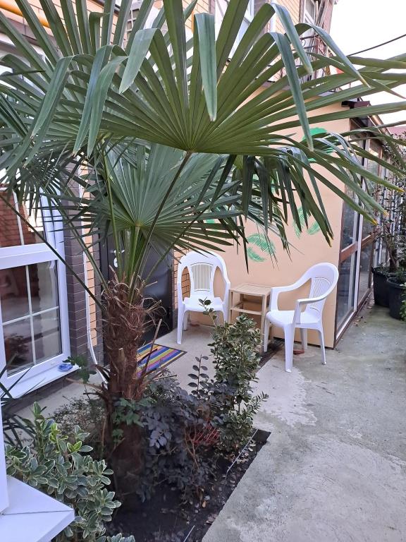 Studiya Na Pyatigorskoj Flat 0*