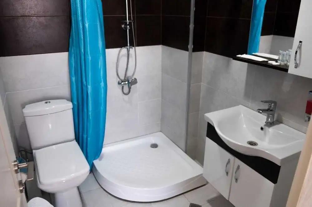Art Hotel Batumi 3*