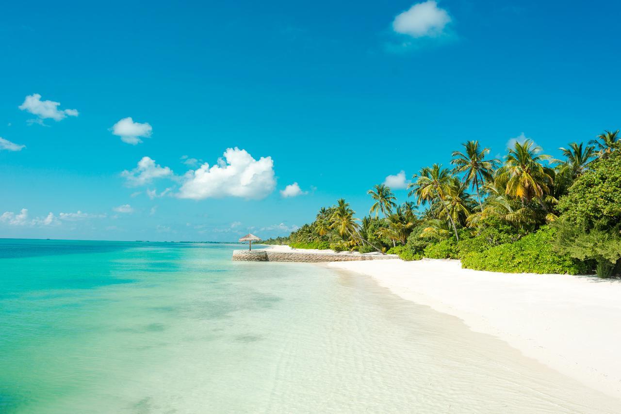Туры в Canareef Resort Maldives