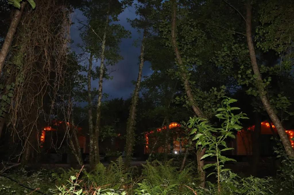 Aqua resort Dacha Resort 0*