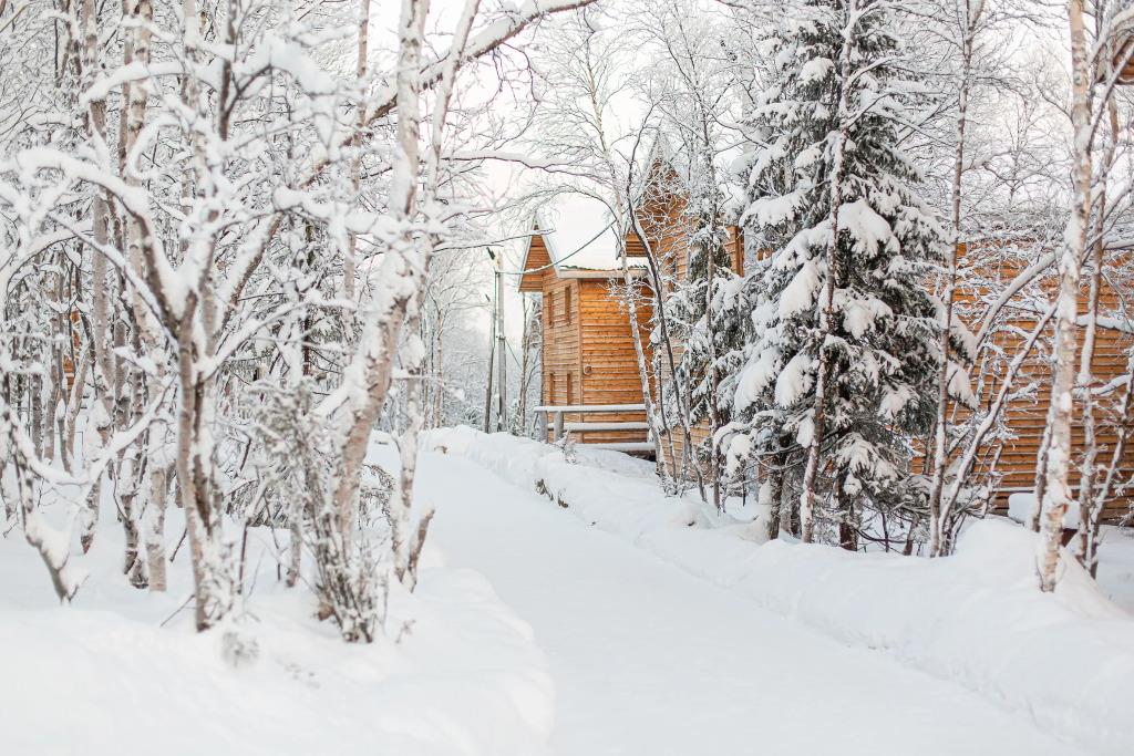 Arctic Home Hotel 3*