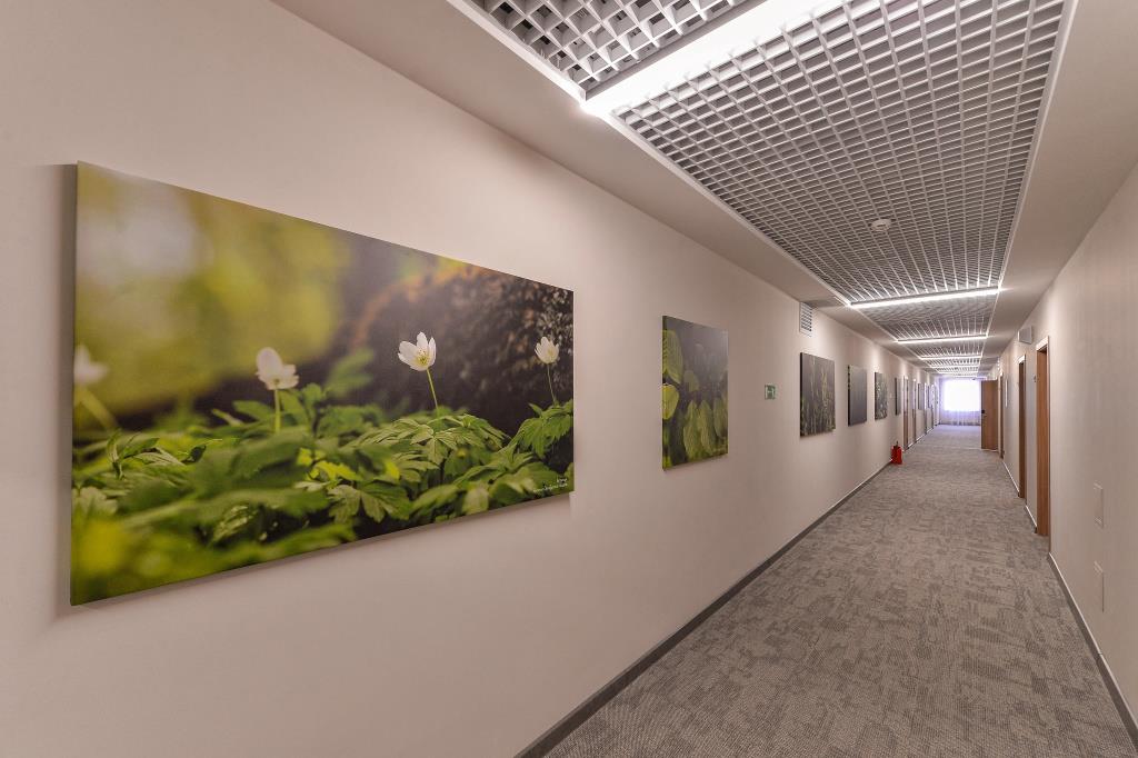 Hotel Biznes Hotel Yar 4*