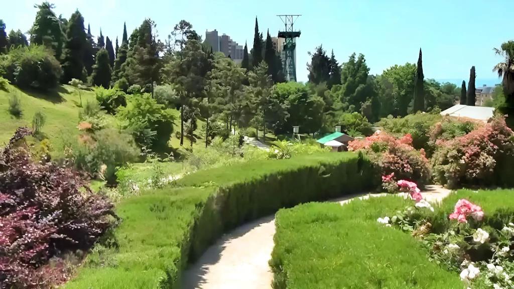 Ryadom s Morem v Tsentre Sochi Flat 0*