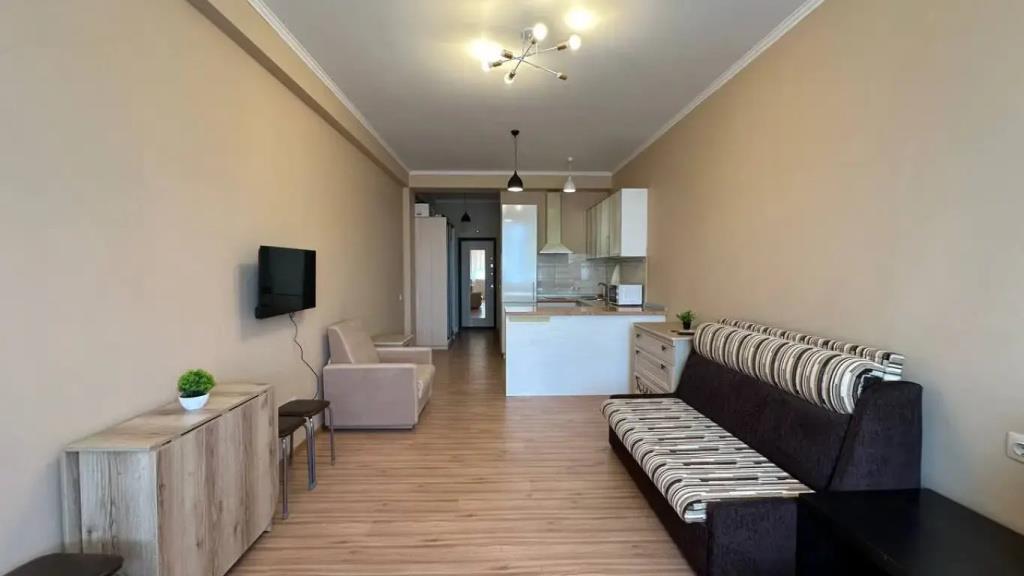 Uyutnaya Studiya na Mamayke Flat 0*