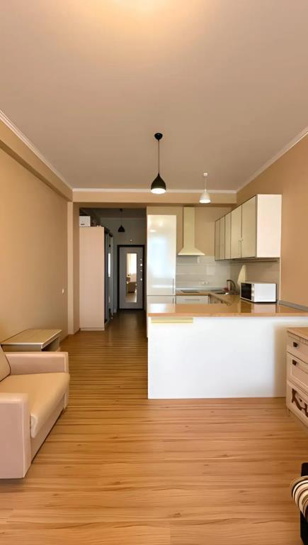 Uyutnaya Studiya na Mamayke Flat 0*